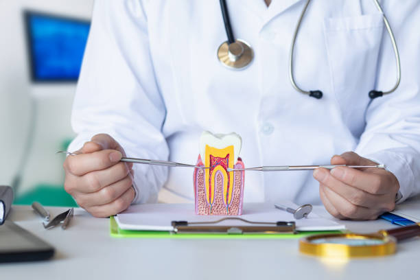 Best Emergency Orthodontic Repairs in Cabin John, MD
